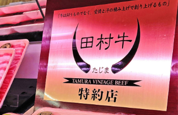 エスカマーレ株式会社 02